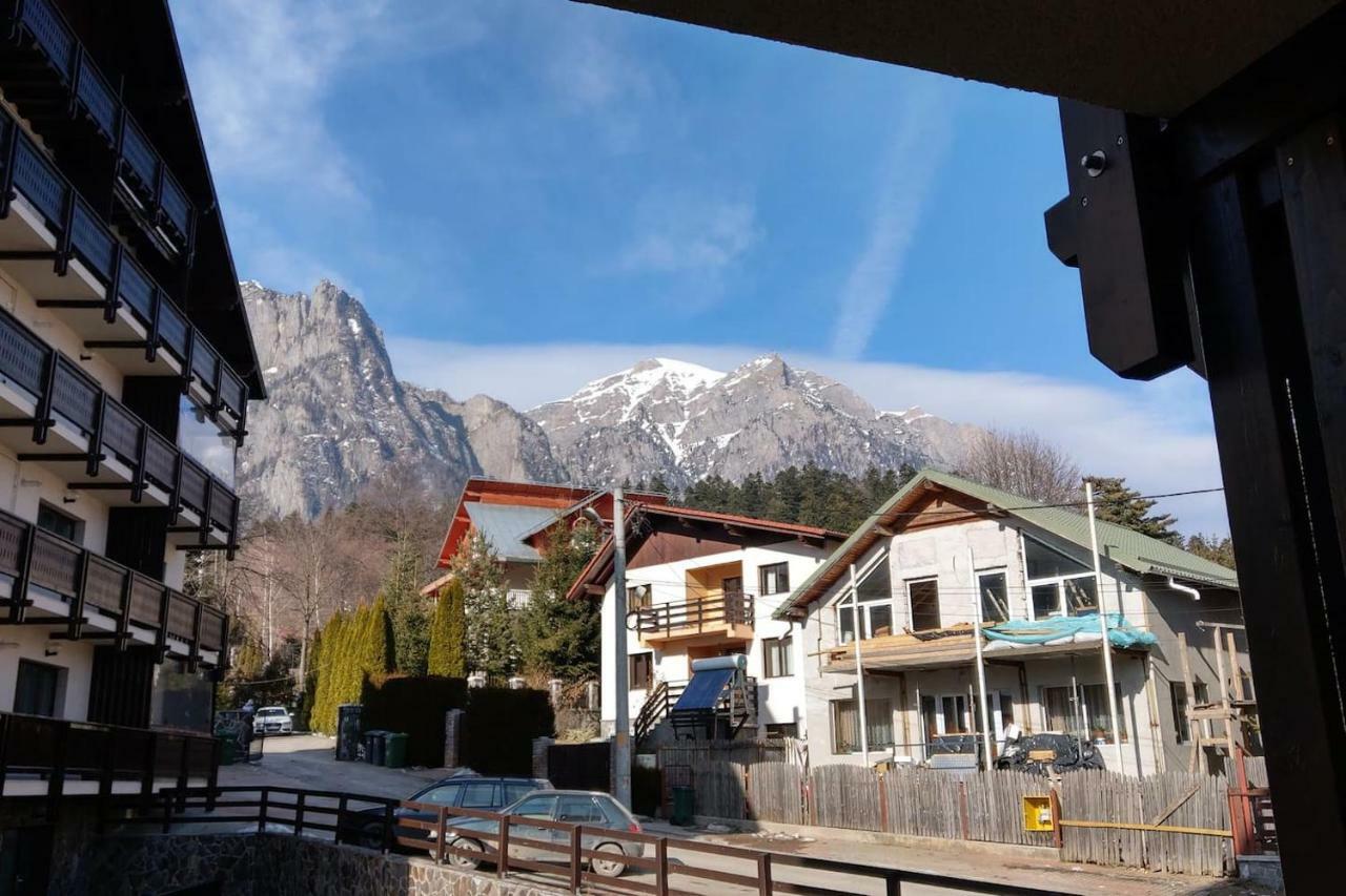 Studio 10 Buşteni Exteriér fotografie